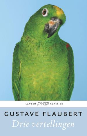 Cover of the book Drie vertellingen by Lieve Joris