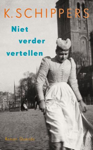 Cover of the book Niet verder vertellen by Pieter Waterdrinker