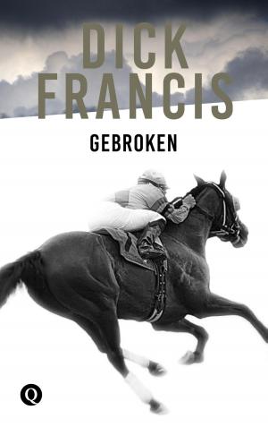 Cover of the book Gebroken by Christophe Vekeman