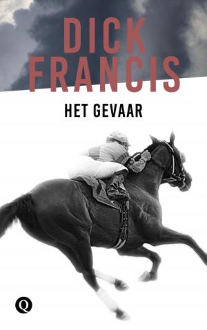 Cover of the book Het gevaar by Theun de Vries