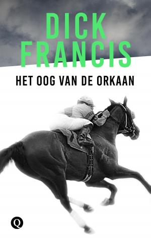 Cover of the book Het oog van de orkaan by Gerrit Kouwenaar