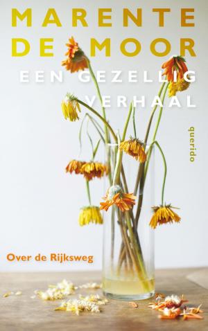 Cover of the book Over de Rijksweg by Arnon Grunberg