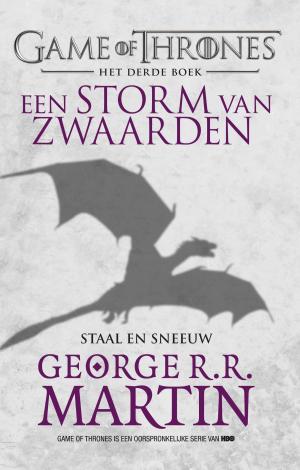 Cover of the book Een storm van zwaarden by Marlies Slegers