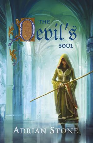Cover of the book The devil's soul by Anthony Ryan