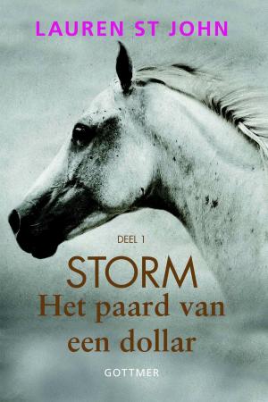 Cover of the book Het paard van een dollar by John Flanagan