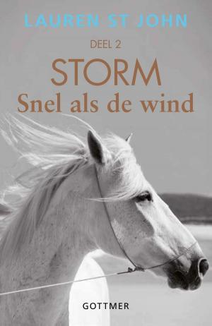 Book cover of Snel als de wind