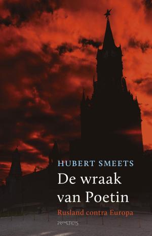 Cover of the book De wraak van Poetin by Jan Guillou