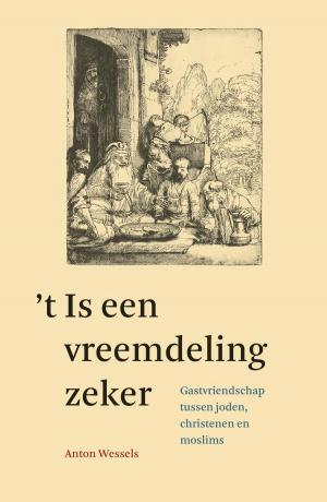 Cover of the book 't Is een vreemdeling zeker by Marion van de Coolwijk