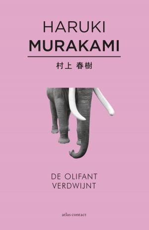 Cover of the book De olifant verdwijnt by Erin Mackey