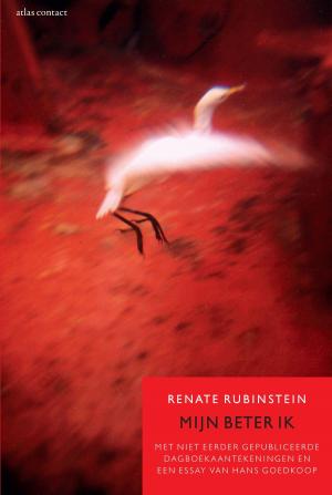 Cover of the book Mijn beter ik by Anneke Verbraeken
