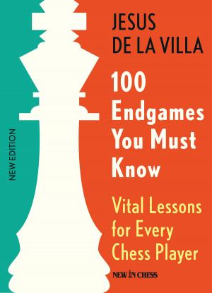 Cover of the book 100 Endgames You Must Know by Dirk Jan ten Geuzendam