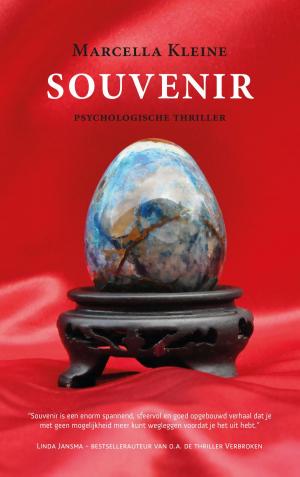 Book cover of Souvenir