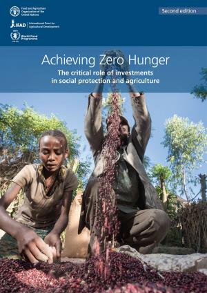 Cover of the book Achieving Zero Hunger: The Critical Role of Investments in Social Protection and Agriculture. Second edition by United Nations