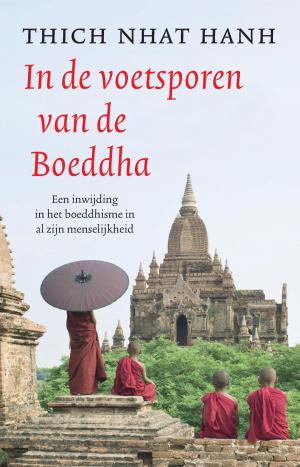 Cover of the book In de voetsporen van de Boeddha by Simon Scarrow