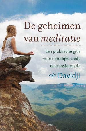 Cover of the book De geheimen van meditatie by Roos Verlinden