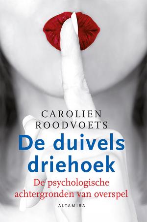 Cover of the book De duivels driehoek by Rian Visser