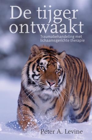 Cover of the book De tijger ontwaakt by Pamela Kribbe