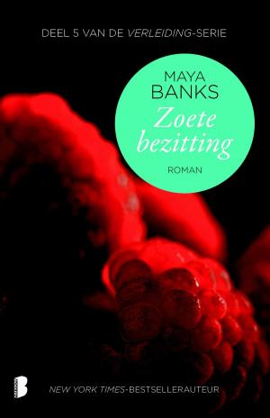 Cover of the book Zoete bezitting by Jackie van Laren