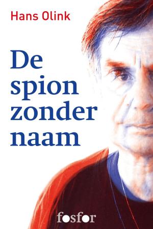Cover of the book De spion zonder naam by Marilynne Robinson