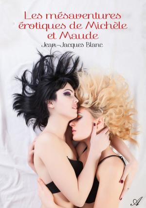 Cover of the book Les mésaventures érotiques de Michèle et Maude by Adeline Alexandre