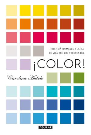 Cover of the book ¡Color! by Pablo Calvo