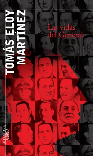 Cover of the book Las vidas del General by Silvia Schujer