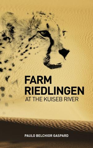 Cover of the book Farm Riedlingen at the Kuiseb River by JOSÉ LUANDINO VIEIRA