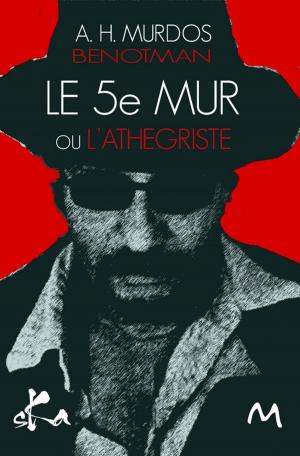 Cover of the book Le 5e Mur by Jeanne Desaubry