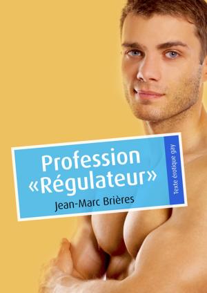 Cover of the book Profession "Régulateur" by Vincent Koch