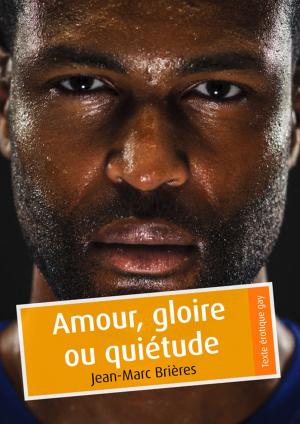 Cover of the book Amour, gloire ou quiétude by Éric Jung