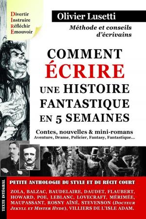 Cover of the book Comment écrire une histoire fantastique en 5 semaines by Fabrice Pittet