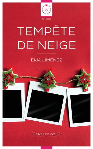 Cover of the book Tempête de Neige by Edwine Morin