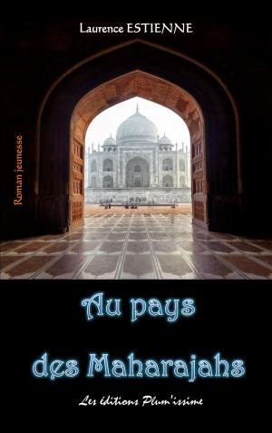 Book cover of Au pays des Maharajahs