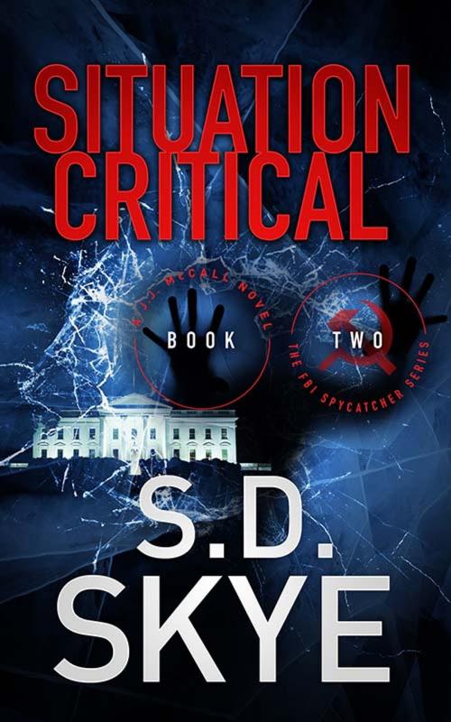 Cover of the book Situation Critical by S.D. Skye, Frankie V Books