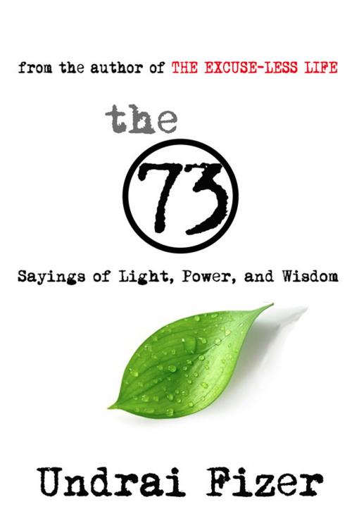 Cover of the book The 73 by Undrai Fizer, DIVINE HOUSE BOOKS
