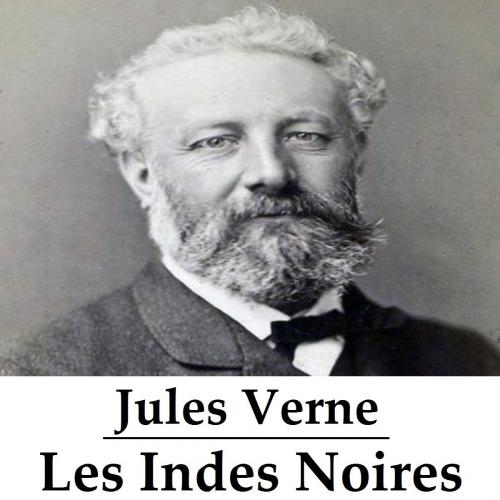 Cover of the book Les Indes Noires by Jules Verne, Consumer Oriented Ebooks Publisher
