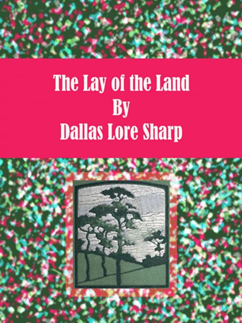 Cover of the book The Lay of the Land by Dallas Lore Sharp, cbook2463