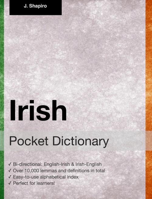 Cover of the book Irish Pocket Dictionary by John Shapiro, Fluo!