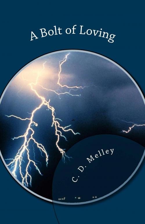 Cover of the book A Bolt of Loving by C. D. Melley, TO Nanook Publishing
