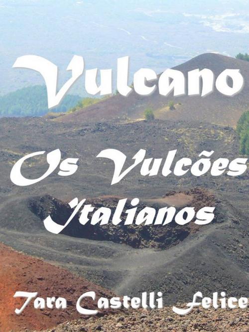 Cover of the book Vulcões da Itália by Tara Castelli Felice, Madreterra