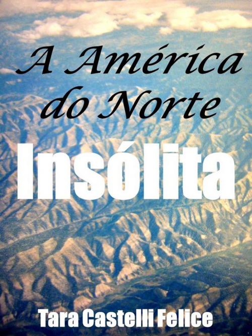 Cover of the book A América do Norte Insólita by Tara Castelli Felice, Madreterra