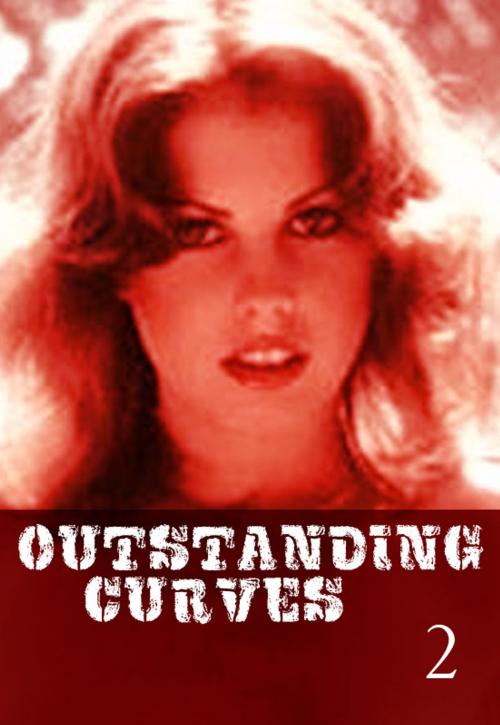 Cover of the book Outstanding Curves Volume 2 - A sexy photo book by Miranda Frost, Wicked Publications