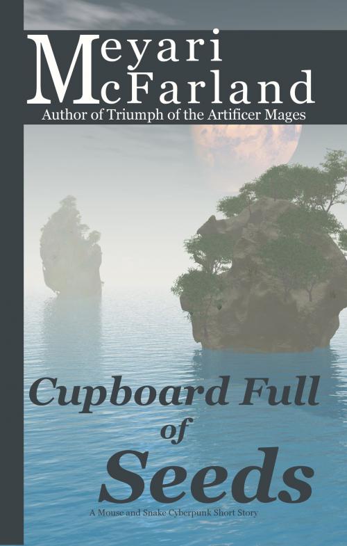 Cover of the book Cupboard Full of Seeds by Meyari McFarland, Mary Raichle