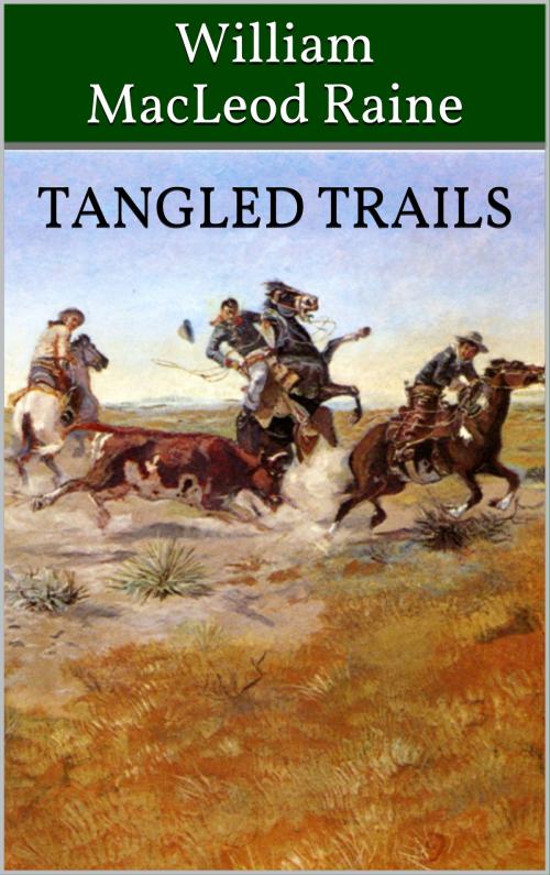 Cover of the book Tangled Trails by William MacLeod Raine, American Cowboy Books