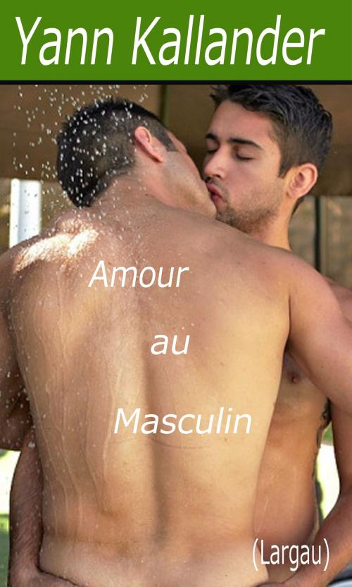 Cover of the book Amour au masculin by Yann Kallander, Largau