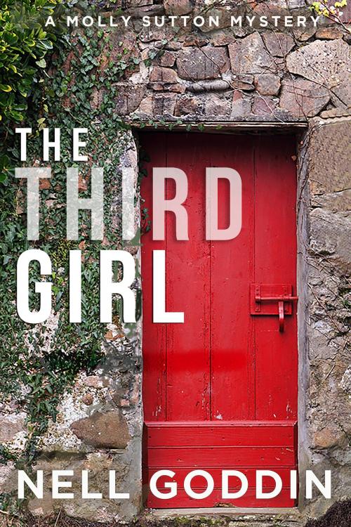 Cover of the book The Third Girl by Nell Goddin, Beignet Books