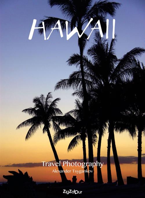 Cover of the book Hawaii by Alexander Tsygankov, Zigzabur North America LLC