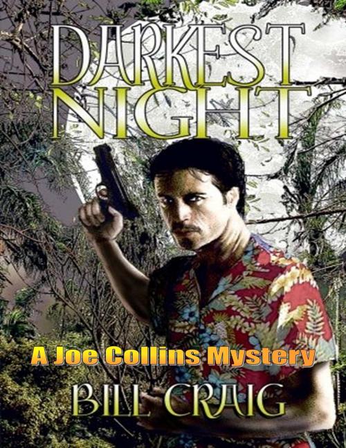 Cover of the book Darkest Night by Bill Craig, Absolutely Amazing Ebooks