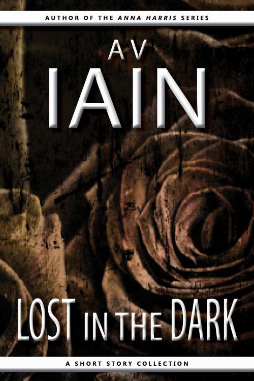 Cover of the book Lost In The Dark by AV Iain, DIB Books