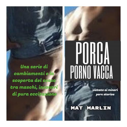Cover of the book Porca porno vacca (porn stories) by Mat Marlin, Mat Marlin